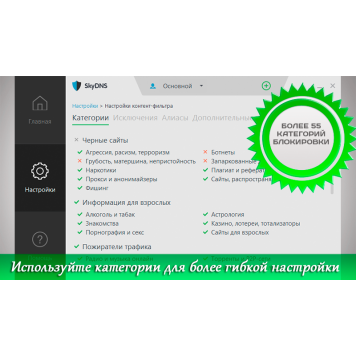 SkyDNS Домашний (лицензия на 1 год)-2