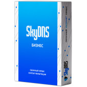 SkyDNS Бизнес на 10 ПК (лицензия на 1 год)
